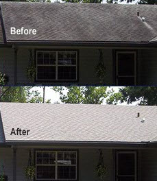 professional roof clenaing service Delaware