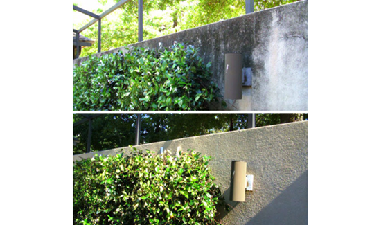 wall and fence power washing