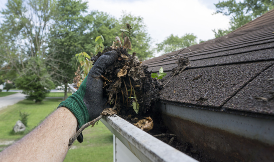 gutter cleaning Services delaware