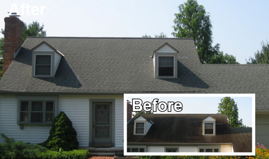 soft wash roof cleaning services delaware 2